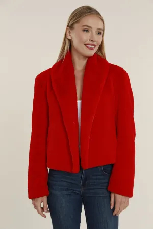 Faux Fur Shawl Collar Jacket